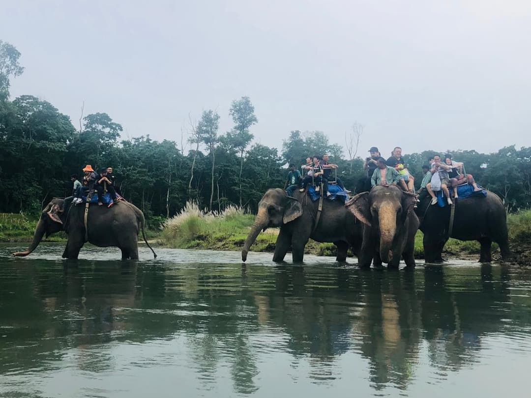 Chitwan Pokhara Tour