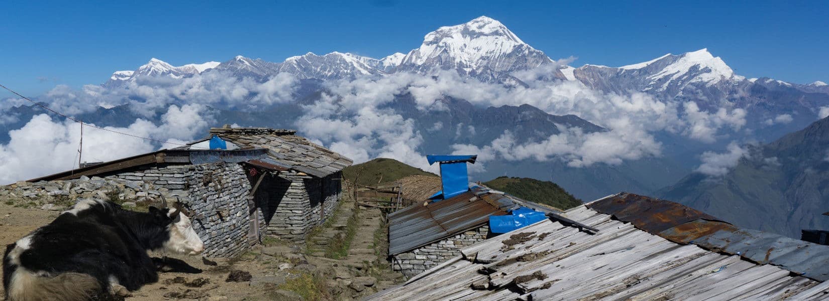 Khopra Danda Trek | 7 Days