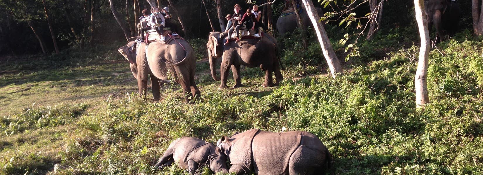 Chitwan Pokhara Tour